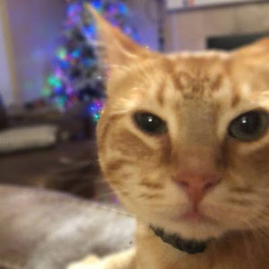 Meet your Posher, Ricky